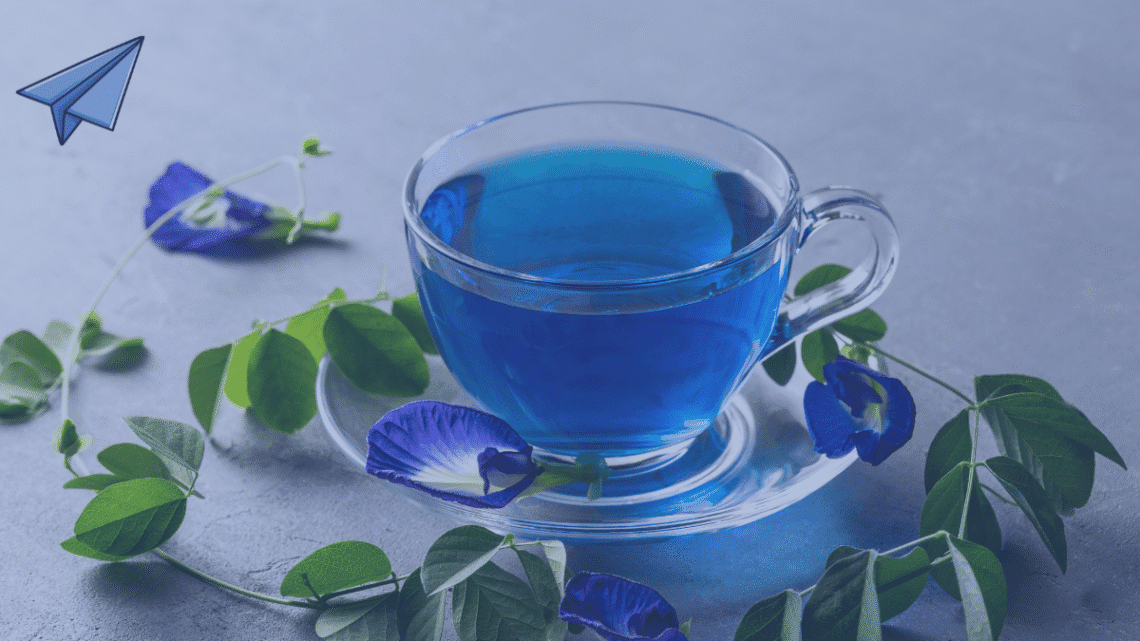 A clear glass teacup filled with bright blue butterfly pea flower tea, sitting on a glass saucer. Fresh green vines and blue butterfly pea flowers are arranged around the cup on a grey background. This image is featured on MyDailyDispatch.
