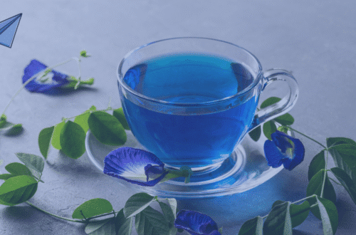 A clear glass teacup filled with bright blue butterfly pea flower tea, sitting on a glass saucer. Fresh green vines and blue butterfly pea flowers are arranged around the cup on a grey background. This image is featured on MyDailyDispatch.